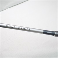 マルチマリンＭ３００